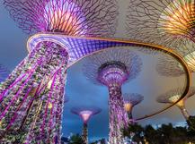 MIO Partners Inc.  culture