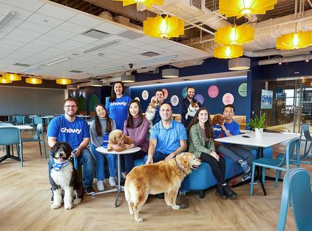 Chewy company profile